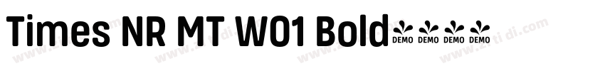 Times NR MT W01 Bold字体转换